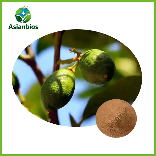 Malva Nut Powder
